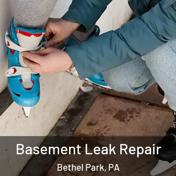  Basement Leak Repair Bethel Park, PA