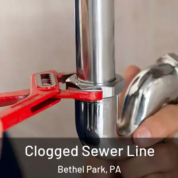  Clogged Sewer Line Bethel Park, PA