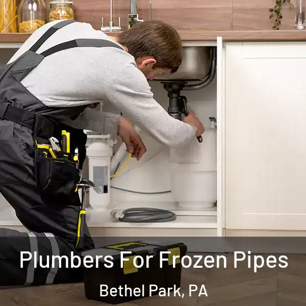 Plumbers For Frozen Pipes Bethel Park, PA