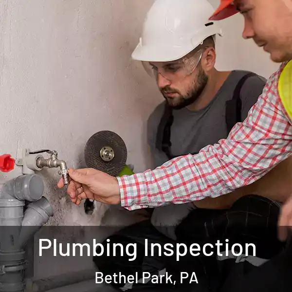  Plumbing Inspection Bethel Park, PA