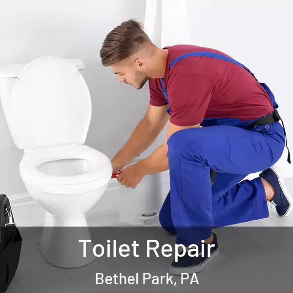  Toilet Repair Bethel Park, PA
