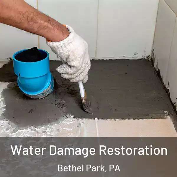  Water Damage Restoration Bethel Park, PA
